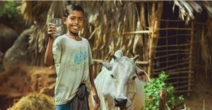 Charity Water Campaign 2013